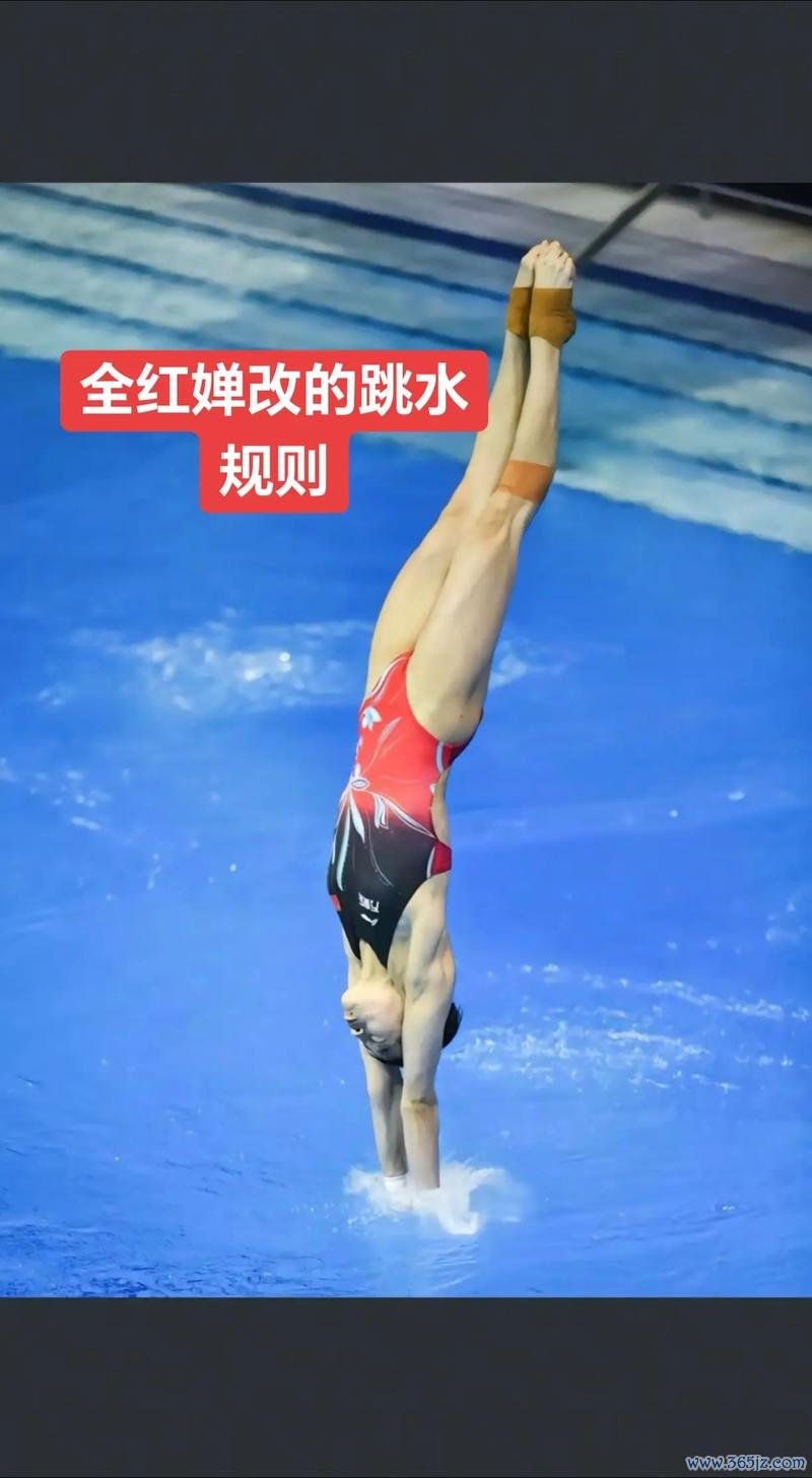 邂逅冬训婵宝:水中的坚韧身影,与不屈的冠军灵魂 邂逅冬训婵宝:水中的坚韧身影,与不屈的冠军灵魂