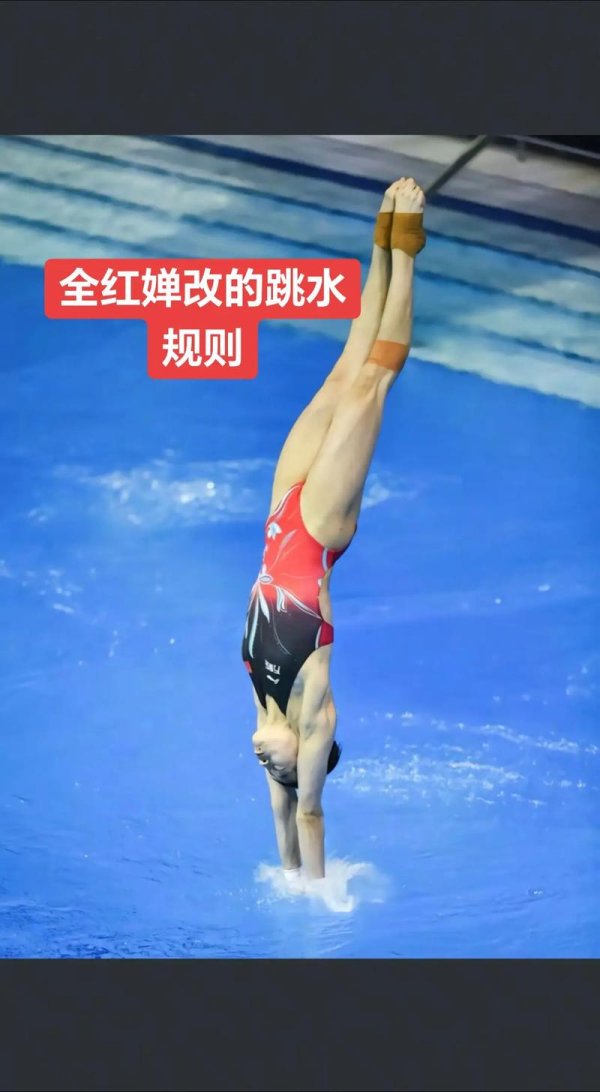 壹号娱乐下载 邂逅冬训婵宝：水中的坚韧身影，与不屈的冠军灵魂