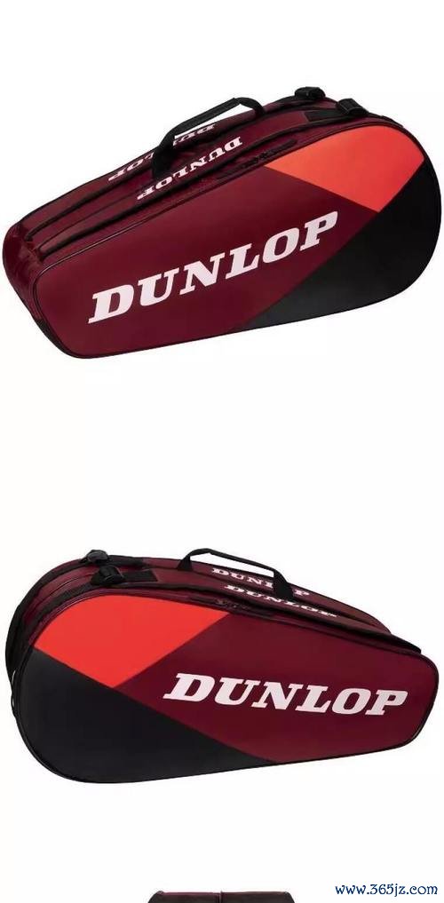 邓禄普专业网球背包，品质保证，轻松适应多样运动需求