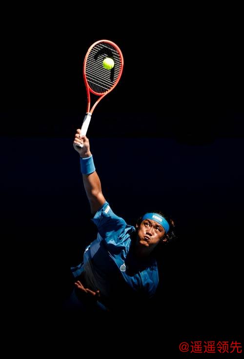张之臻止步澳网男单首轮
