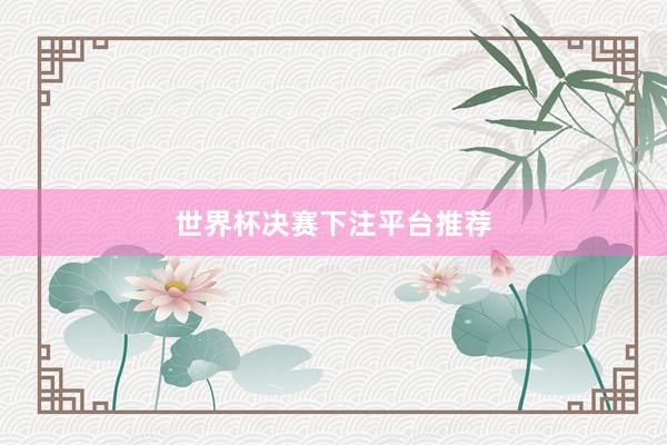 世界杯决赛下注平台推荐