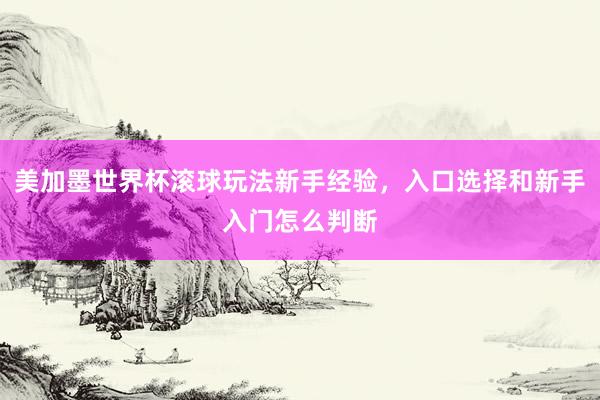 美加墨世界杯滚球玩法新手经验，入口选择和新手入门怎么判断