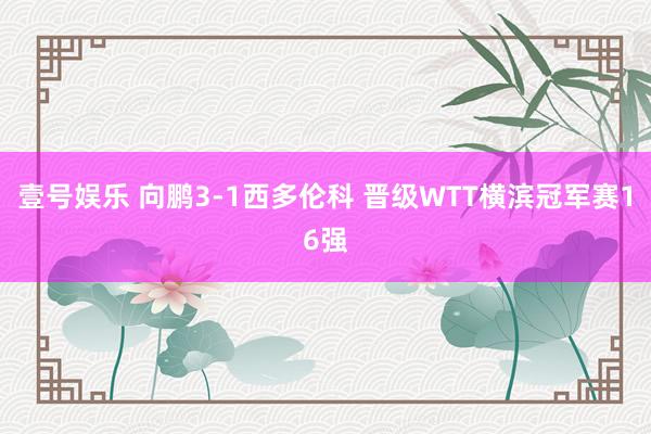 壹号娱乐 向鹏3-1西多伦科 晋级WTT横滨冠军赛16强