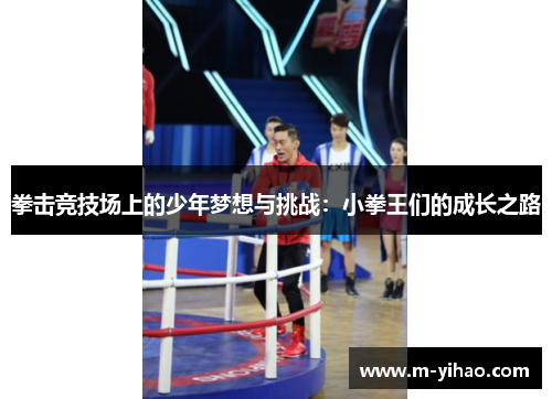 拳击竞技场上的少年梦想与挑战：小拳王们的成长之路