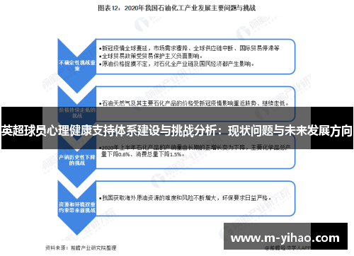 英超球员心理健康支持体系建设与挑战分析：现状问题与未来发展方向