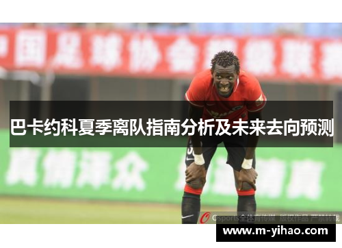 巴卡约科夏季离队指南分析及未来去向预测
