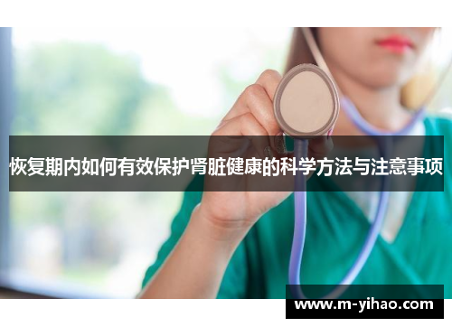 恢复期内如何有效保护肾脏健康的科学方法与注意事项