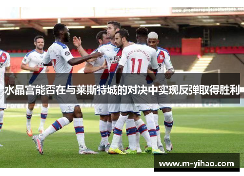 水晶宫能否在与莱斯特城的对决中实现反弹取得胜利