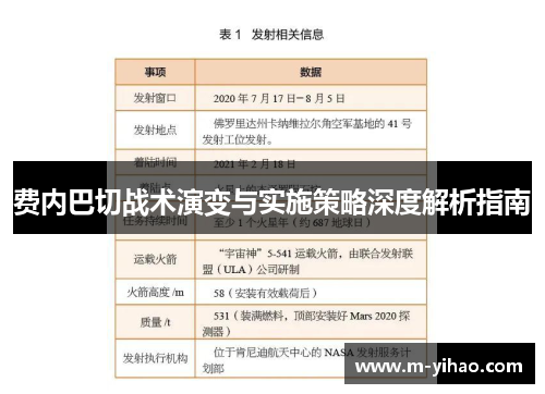 费内巴切战术演变与实施策略深度解析指南