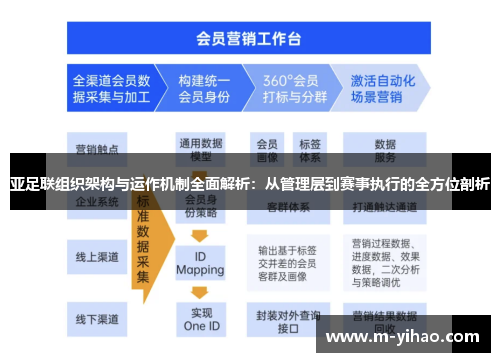 亚足联组织架构与运作机制全面解析：从管理层到赛事执行的全方位剖析