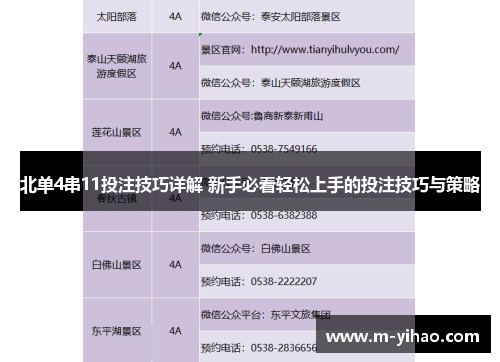 北单4串11投注技巧详解 新手必看轻松上手的投注技巧与策略