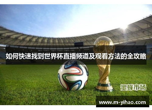 如何快速找到世界杯直播频道及观看方法的全攻略
