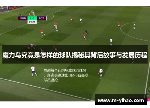 魔力鸟究竟是怎样的球队揭秘其背后故事与发展历程