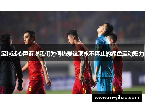 足球迷心声诉说我们为何热爱这项永不停止的绿色运动魅力
