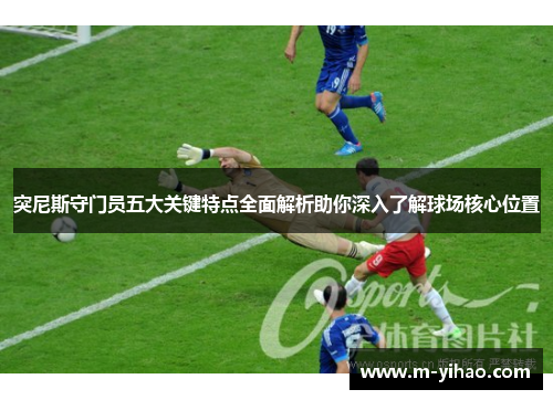 突尼斯守门员五大关键特点全面解析助你深入了解球场核心位置